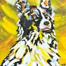 Border Collie 8x10 ins SOLD